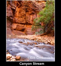 Canyon Stream