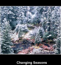 Changing Seasons
