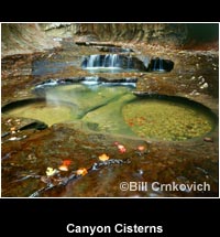 Canyon Cisterns