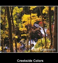 Creekside Colors