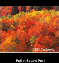 Fall at Squaw Peak
