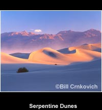 Serpentine Dunes