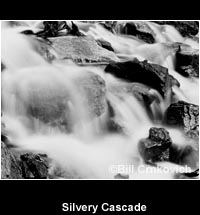 Silvery Cascade