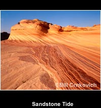 Sandstone Tide