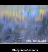 Study in Reflections