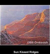 Sun Kissed Ridges