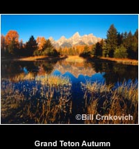Grand Teton Autumn