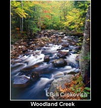 Woodland Creek