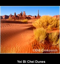 Yei Bi Chei Dunes